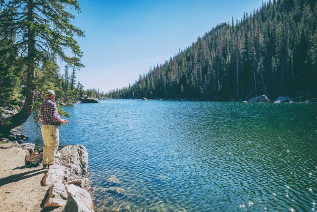 man standing on rock on front of lake surrounded with trees at daytime