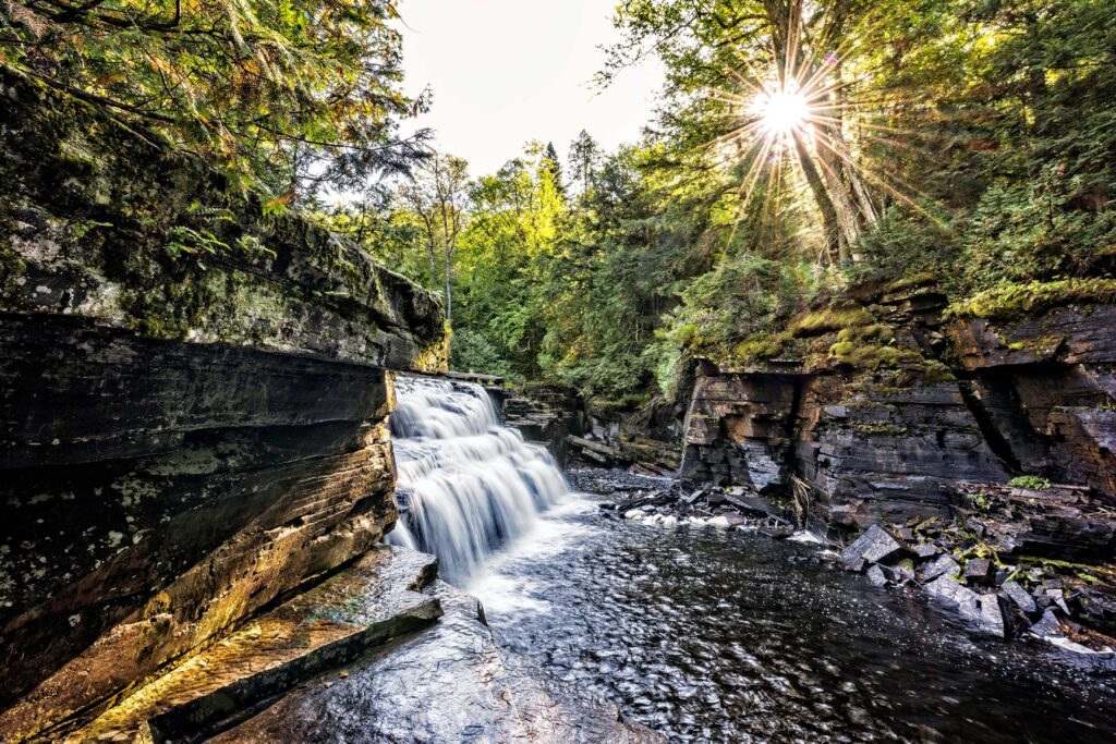 time-lapse photo of waterfalls surrounded by trees at daytime