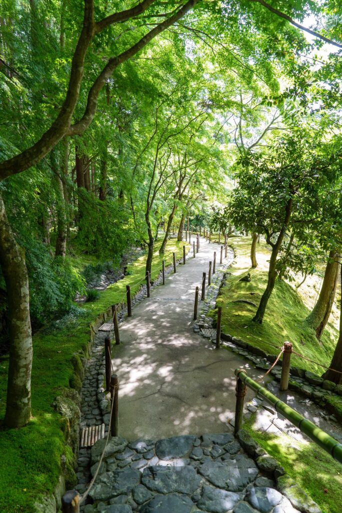 gray concrete pathway between green trees during daytime