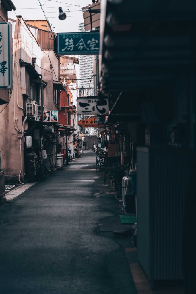 people walking on street during daytime