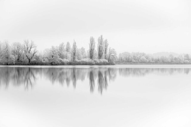 forest covered with snow reflected on body of water grayscale photo