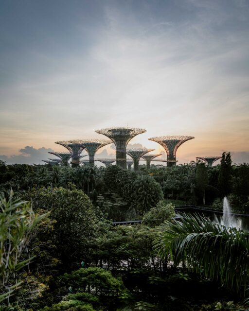 green trees and plants under cloudy sky during daytime