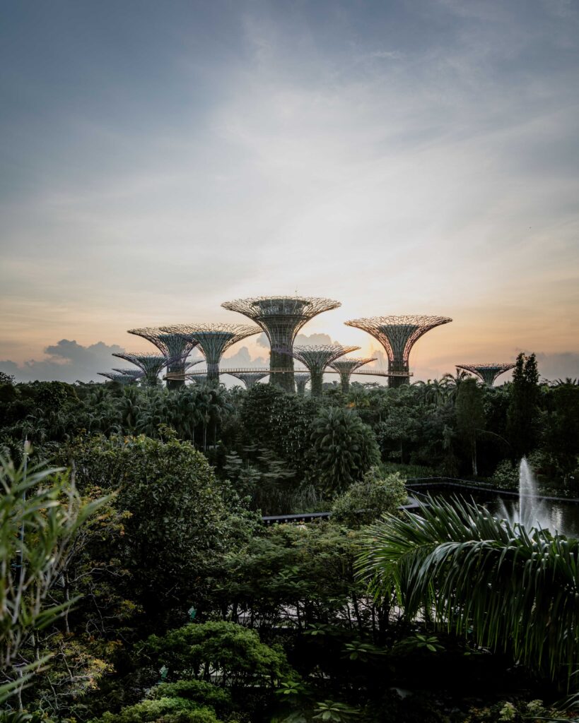 green trees and plants under cloudy sky during daytime