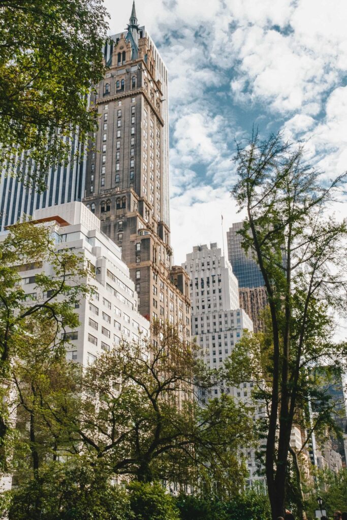 worm’s eye view photography of buildings and trees