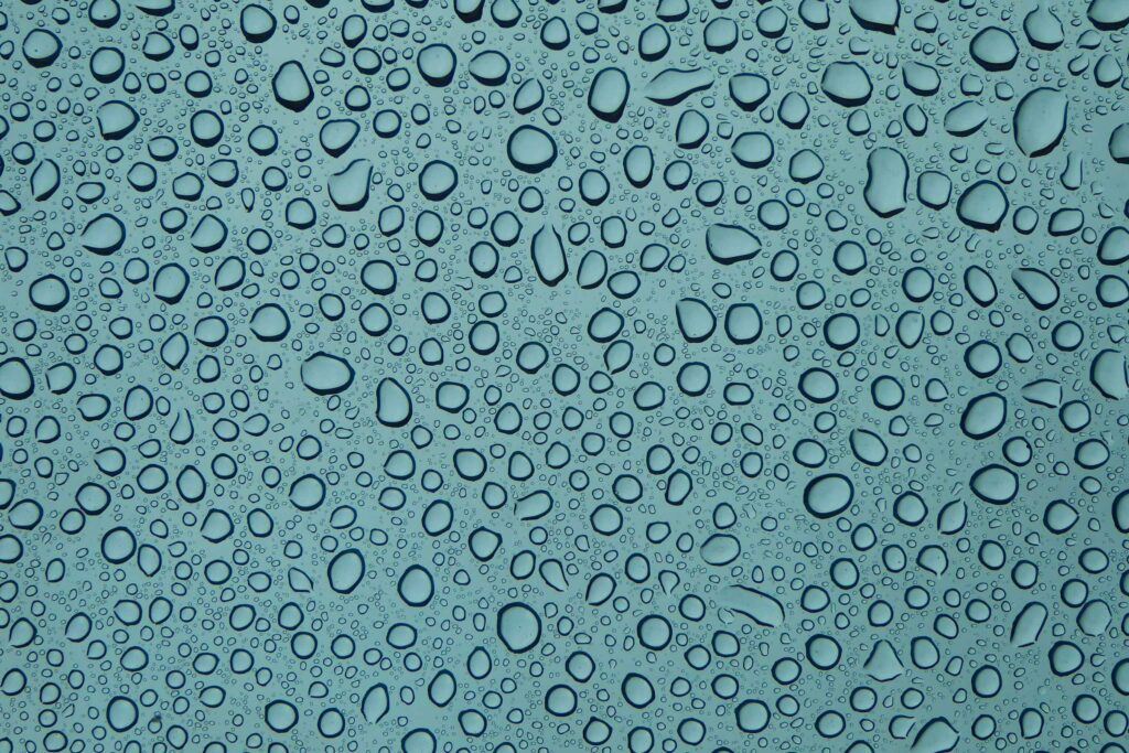 water dew digital wallpaper