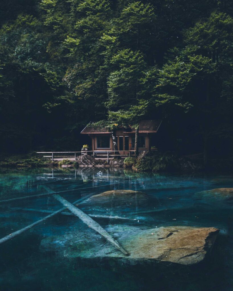 brown wooden house behind green tree