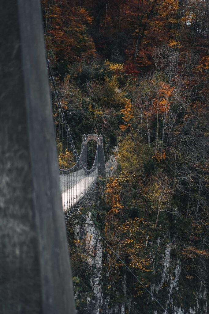 bridge near trees during daytime