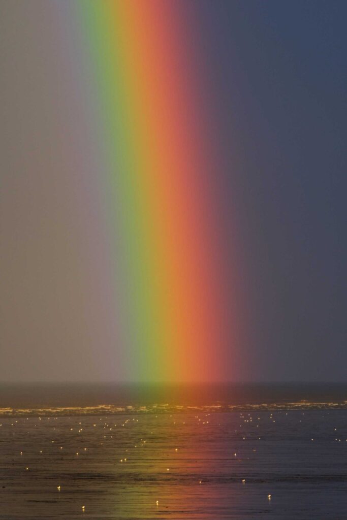 rainbow on body of water